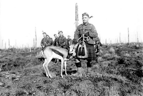 Temps 3 : 1916, les chocs – Image 8