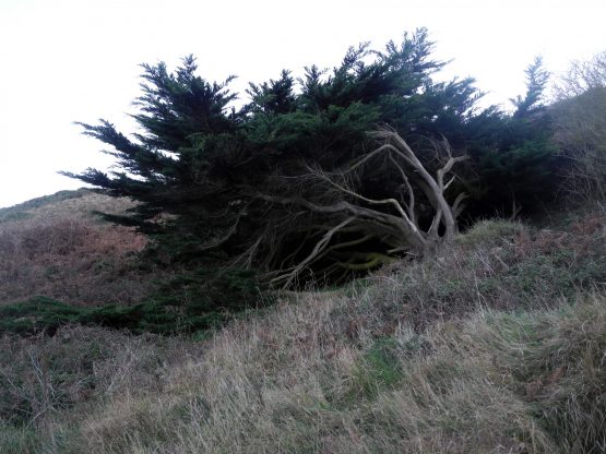 Avant que les îles s'effacent (eBook Hi) – Image 10